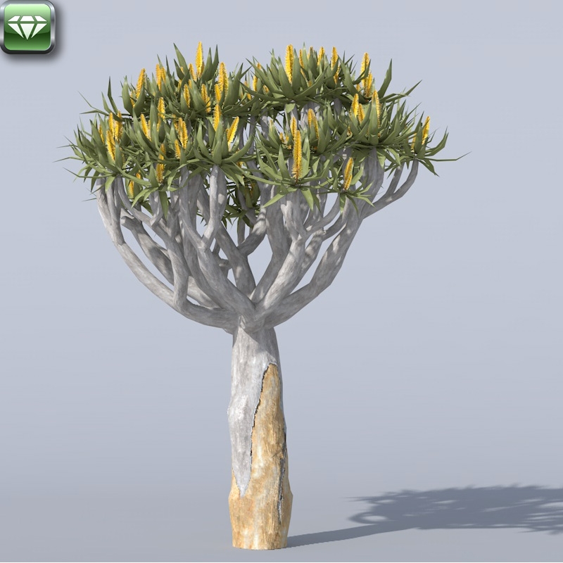 Quiver tree