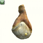 Prosciutto